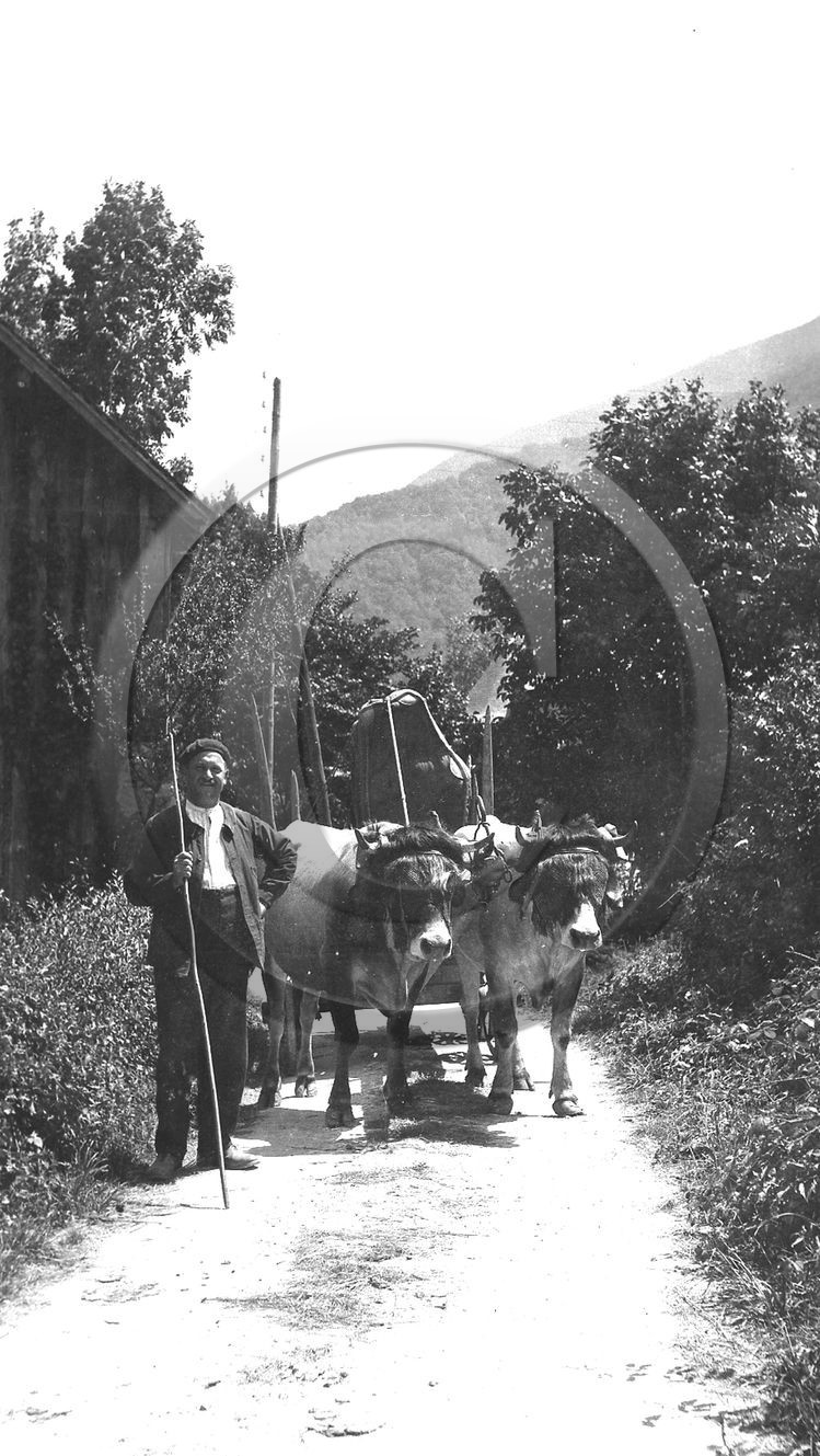AG 64.jpg