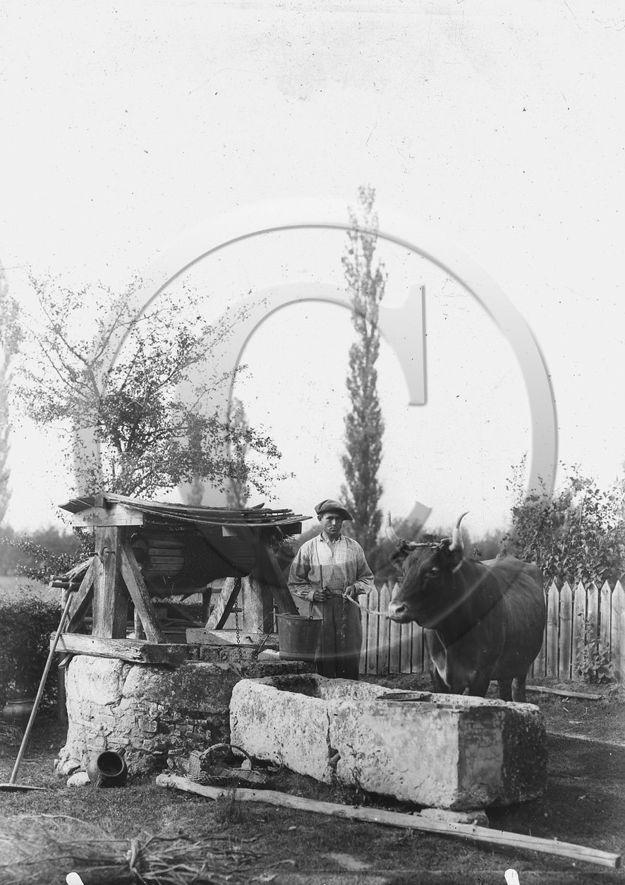 VI 613.jpg