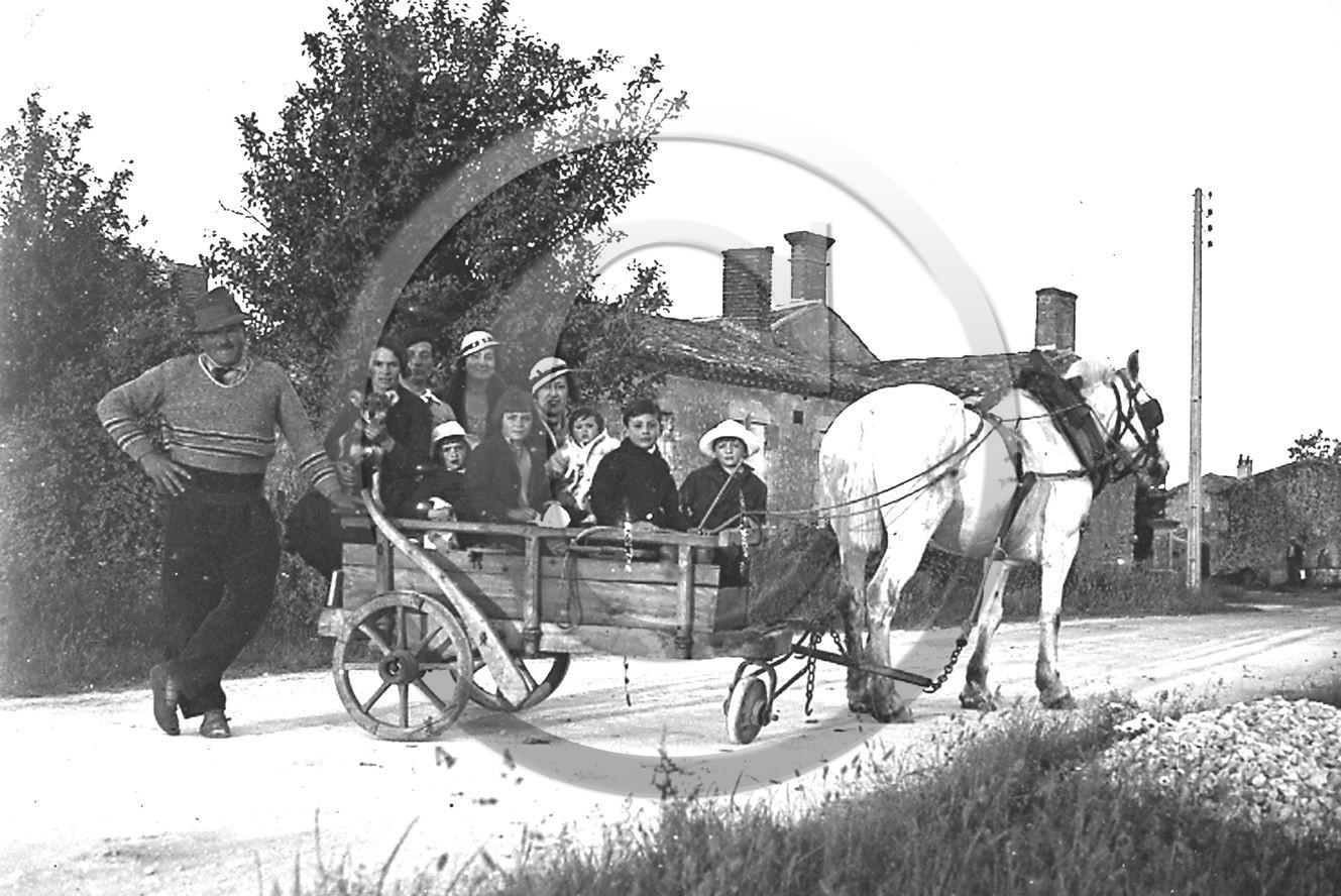 AG 102.jpg