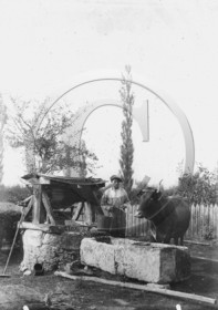 VI 613.jpg