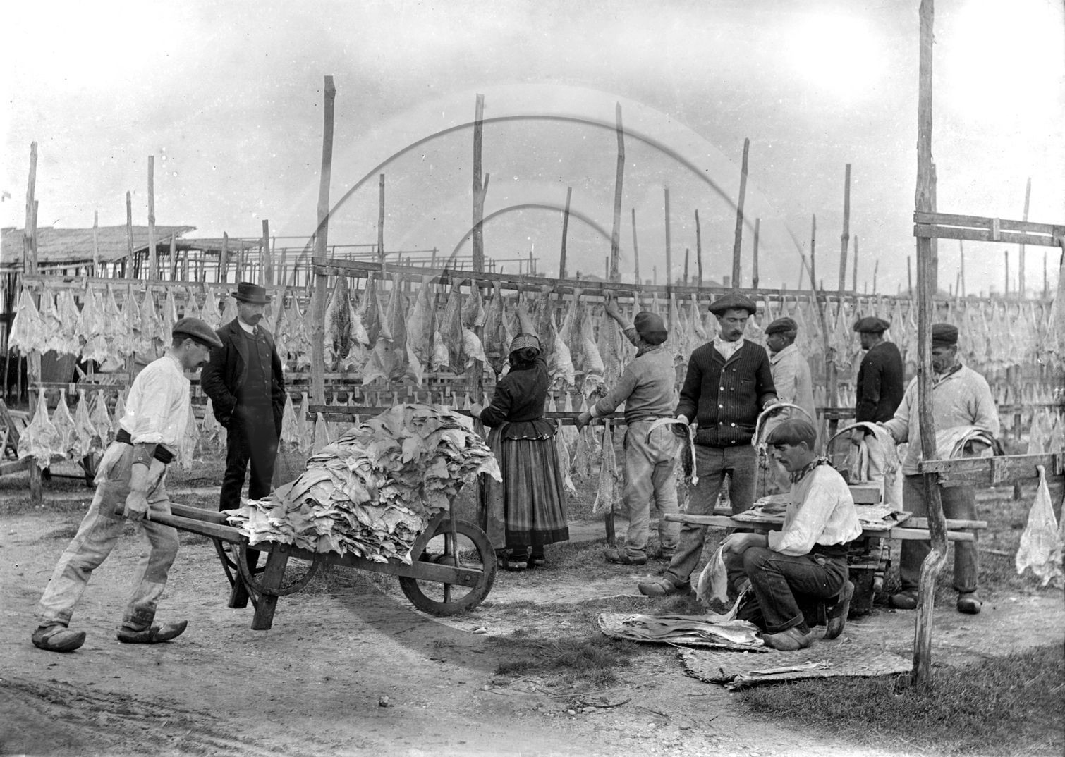 BX 430   photo voir album .jpg