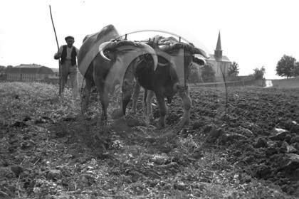 ag 338.jpg