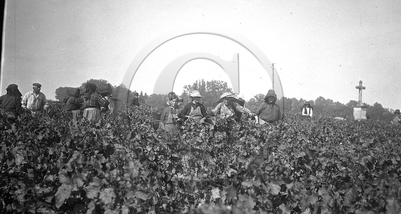 AG 237.jpg