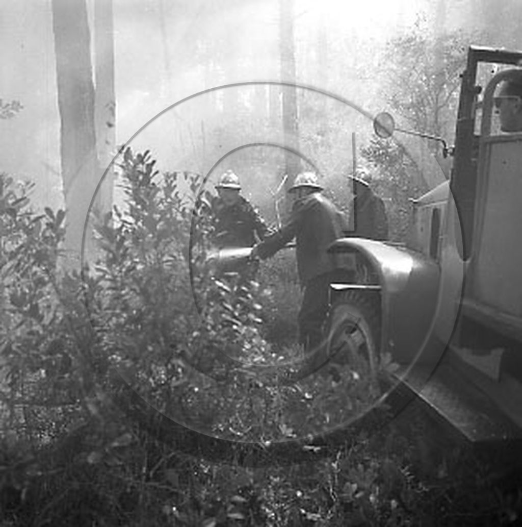 Pompiers du bassin d'Arcachon