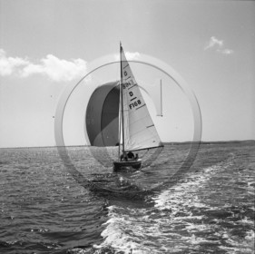 arc 2302 régate de dragons .jpg