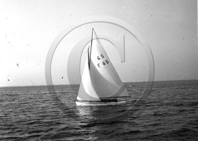 arc 1441   6.50 F 65  .jpg