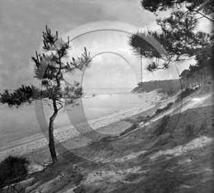 arc 4637 les Abatilles .jpg