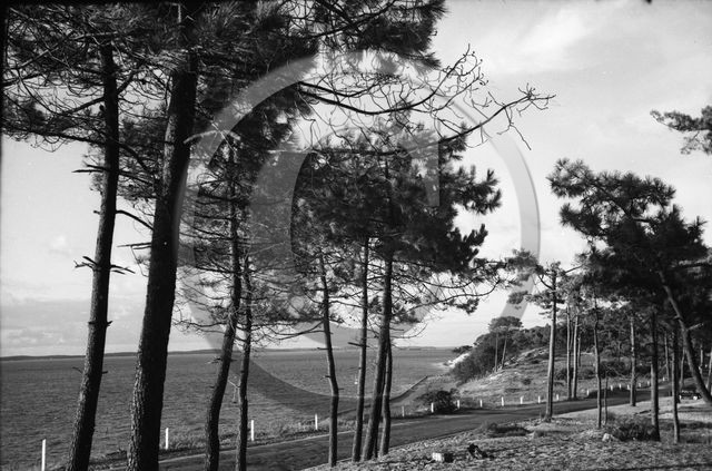 arc 4439 Abatilles .jpg