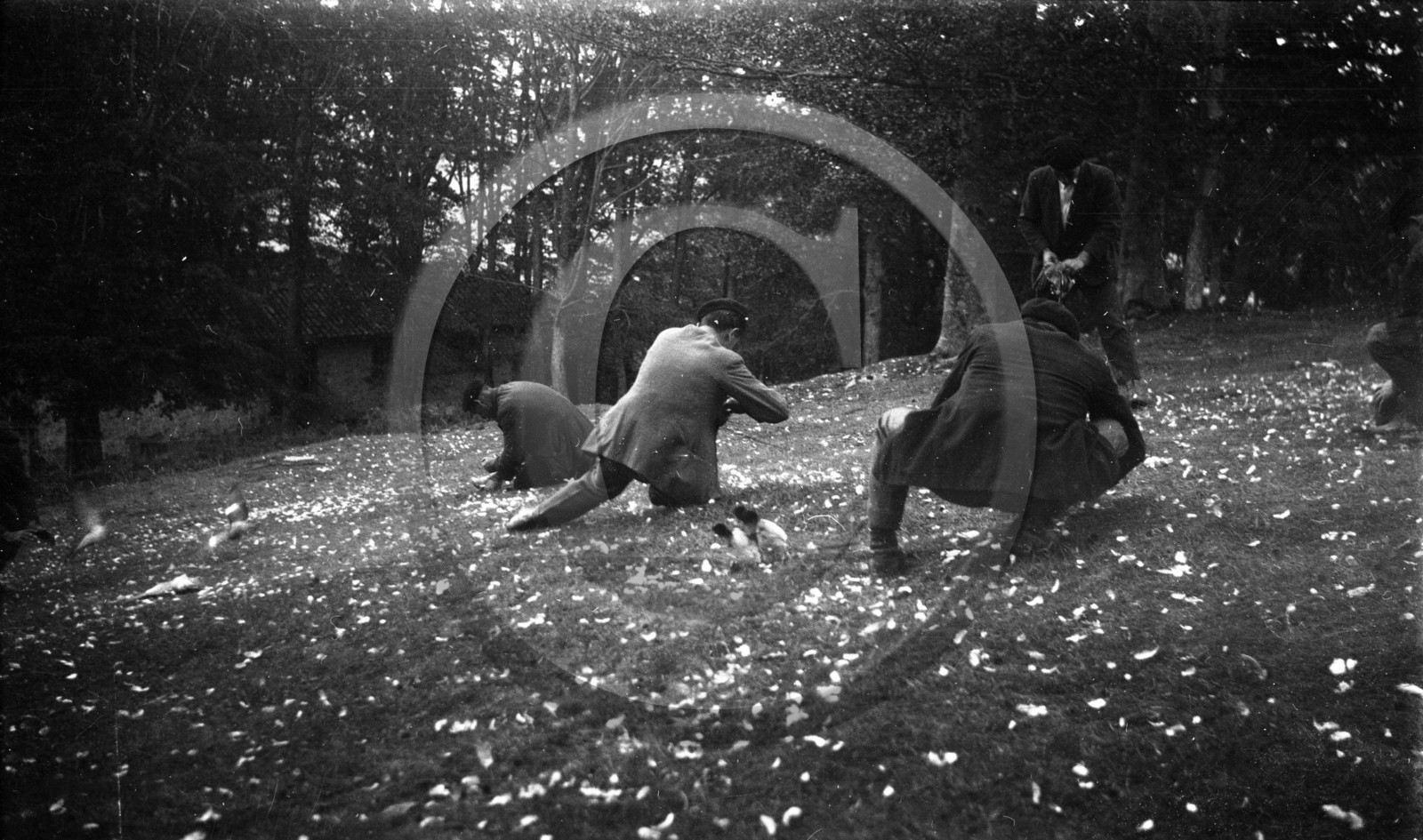 vi  491 chasse a la palombe Sare 1929  dpt 64 .jpg