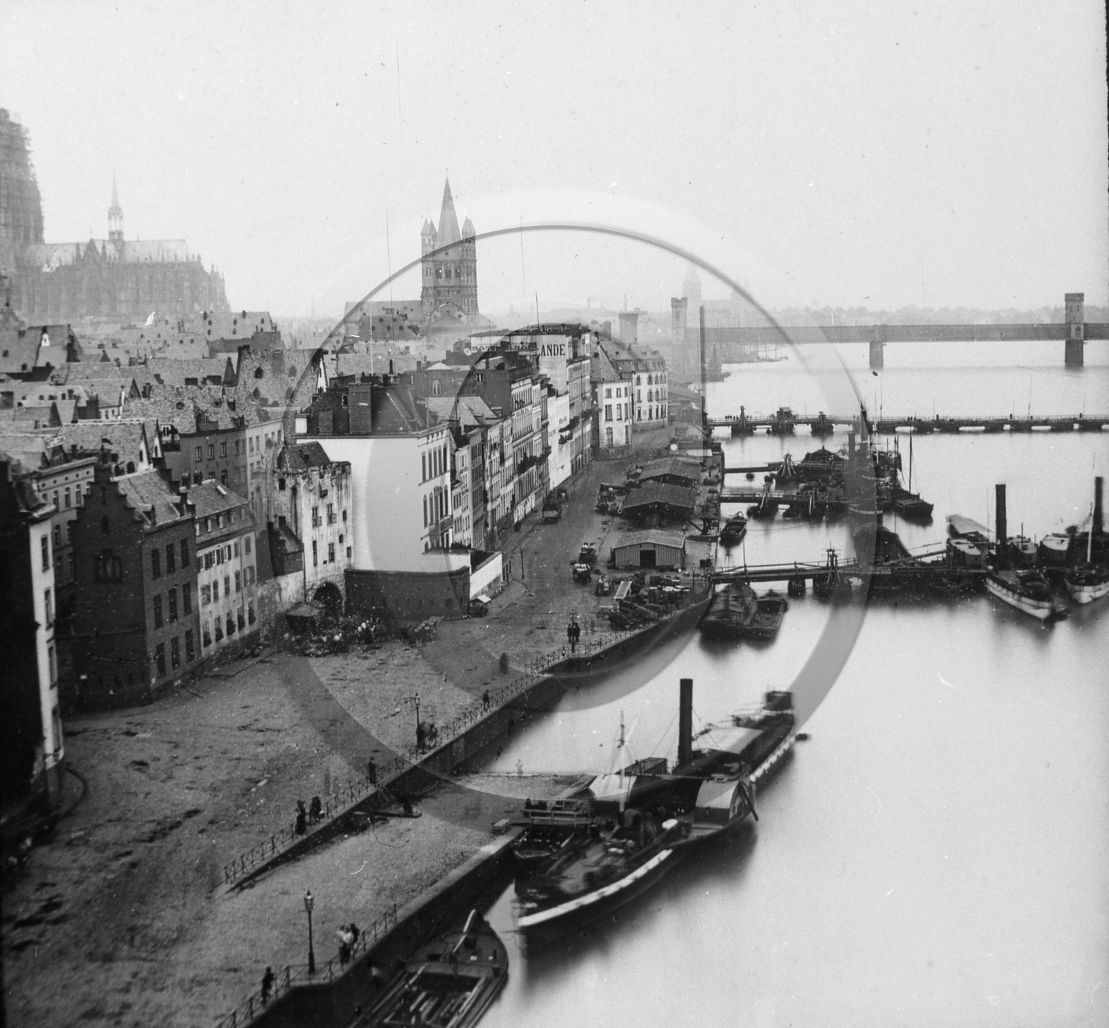 BA 183 Cologne bateau à aubes  Allemagne .jpg