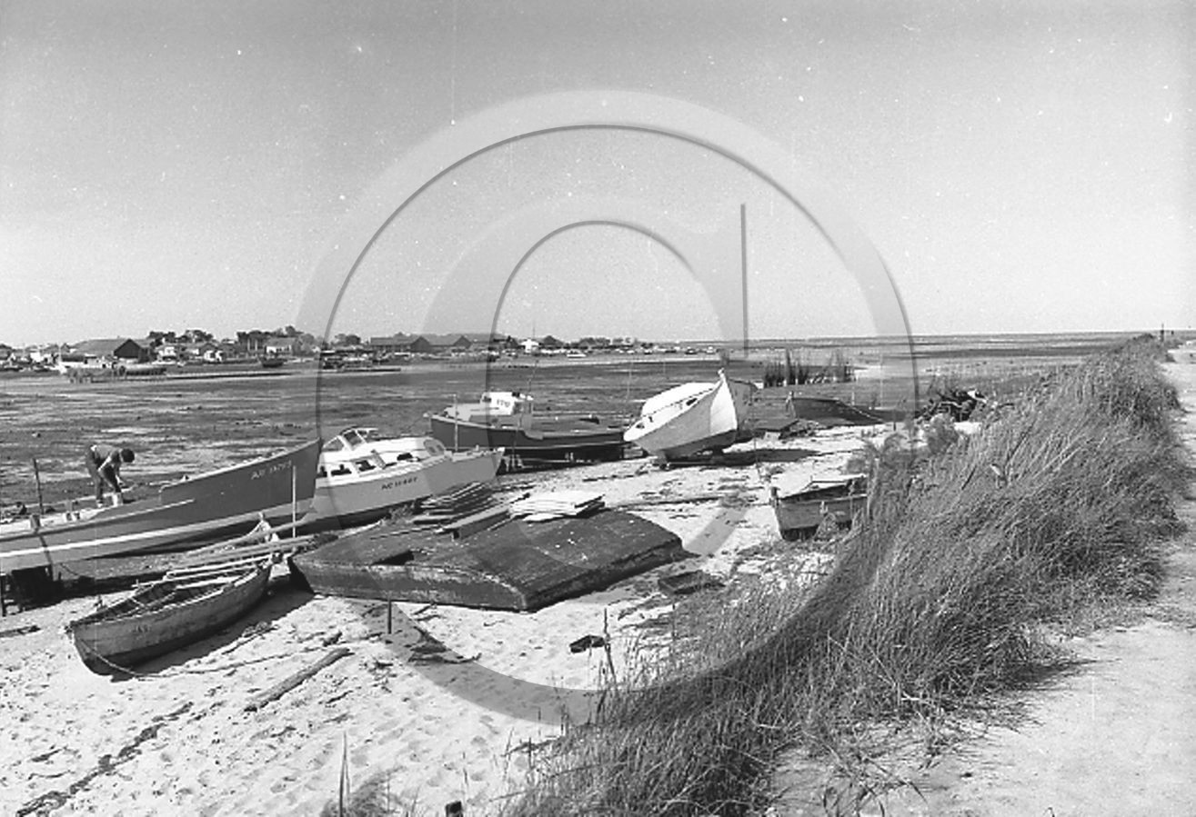 arc 1102 Lapin Blanc .jpg