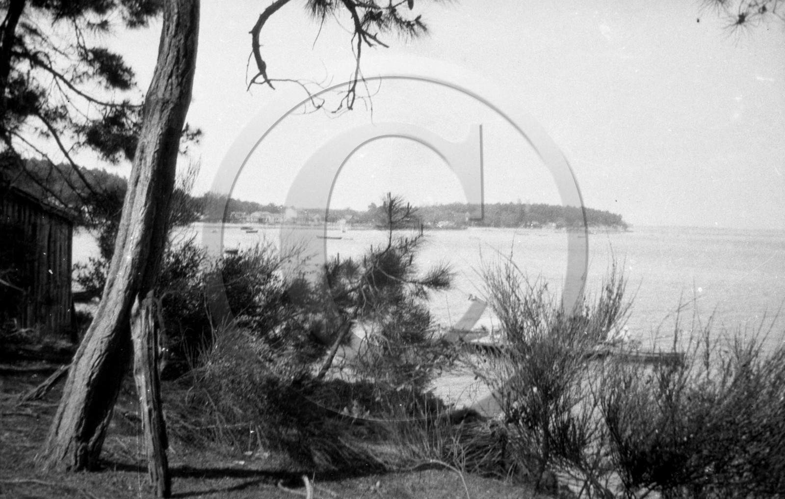 arc 2246  Cap Ferret.jpg