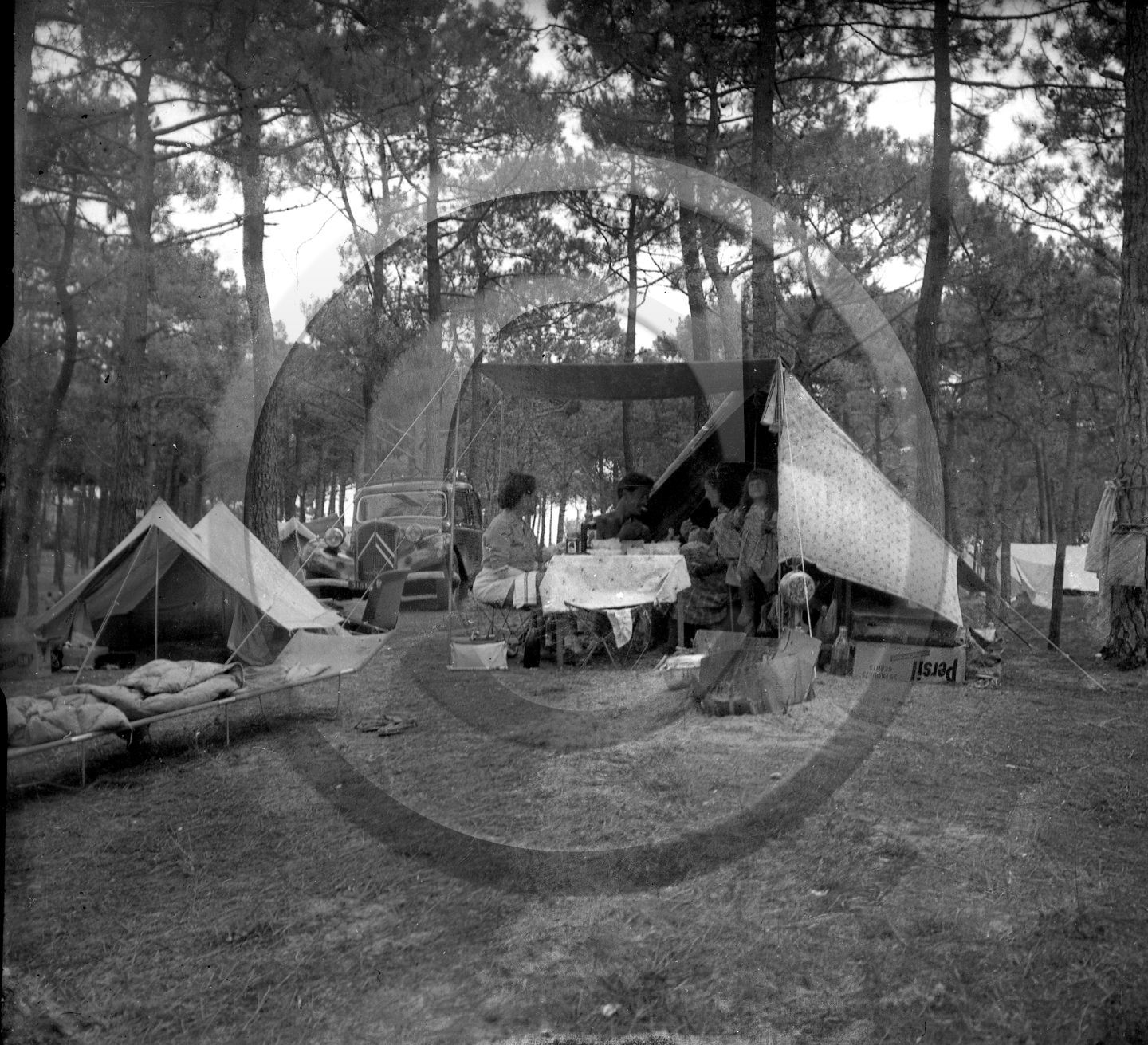 SL 325 camping citroen traction .jpg