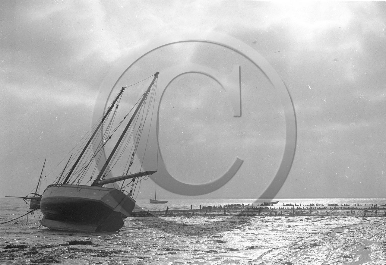 vi  1212  environ st malo dpt 35.jpg