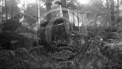 vi  296 Budos Villandraut  palombiere  dpt 33 .jpg