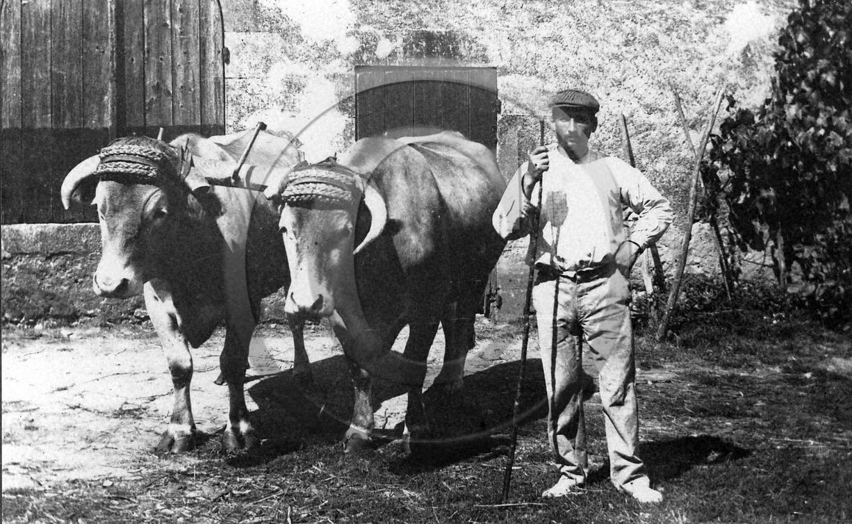 Pyrénées Atlantiques