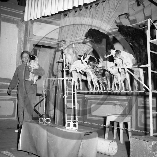 FO-CIRQUE  80  chiens savants  .jpg