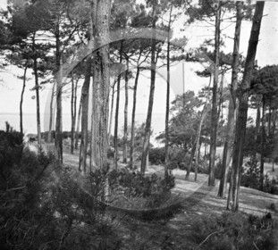 arc 4645 les Abatilles .jpg