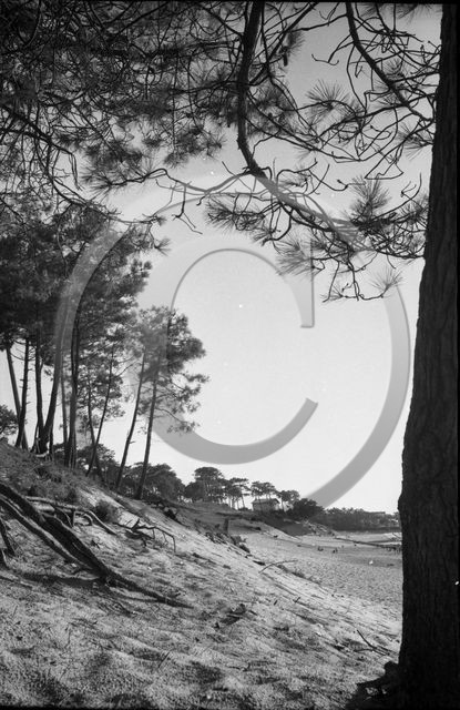 arc 4441 Abatilles .jpg