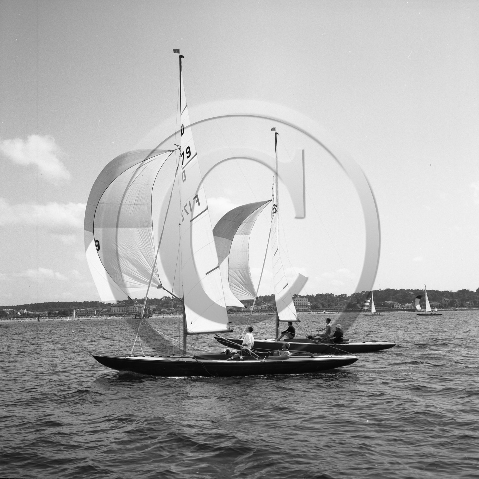 arc 2304 régate de dragons .jpg