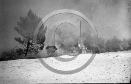 Pompiers du bassin d'Arcachon