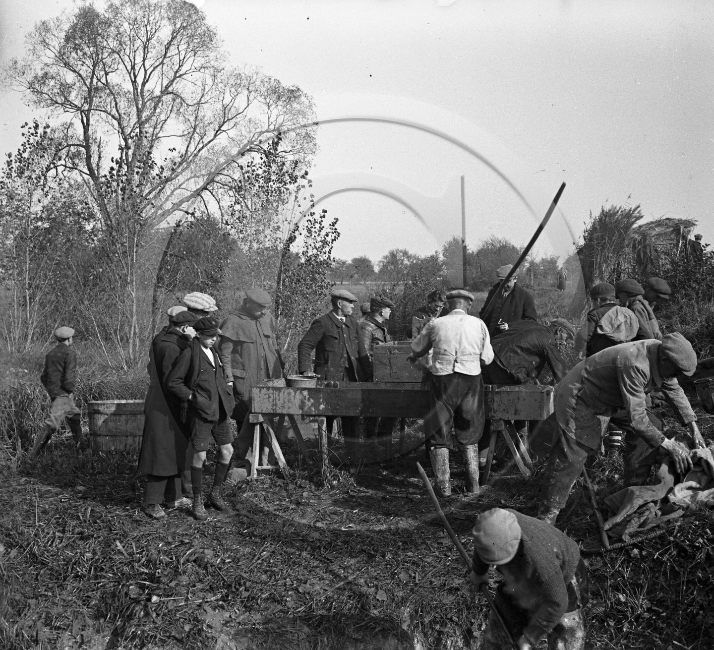 SL 314  peche série de 7 négatifs .jpg