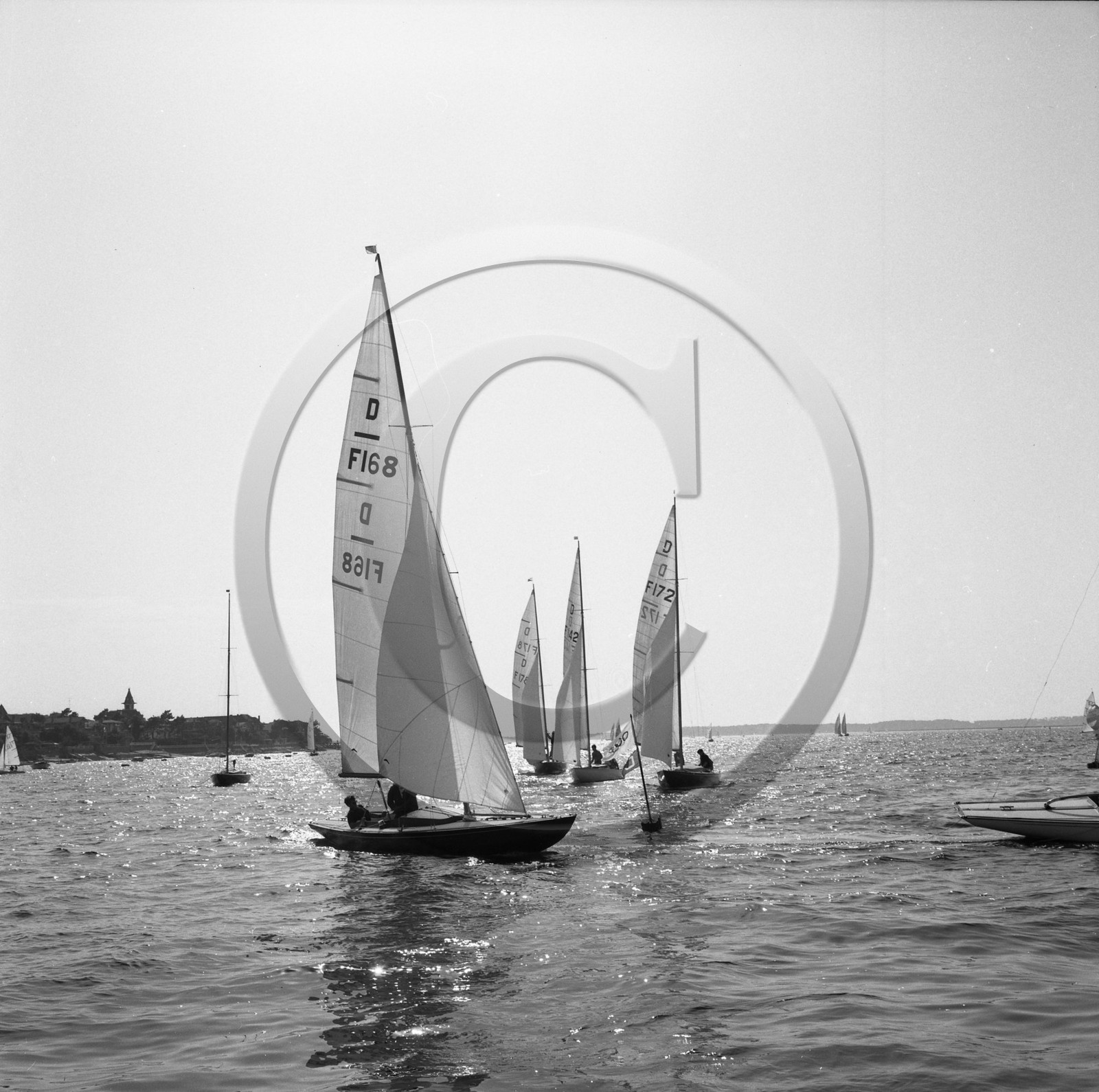 arc 2299 régate de dragons .jpg