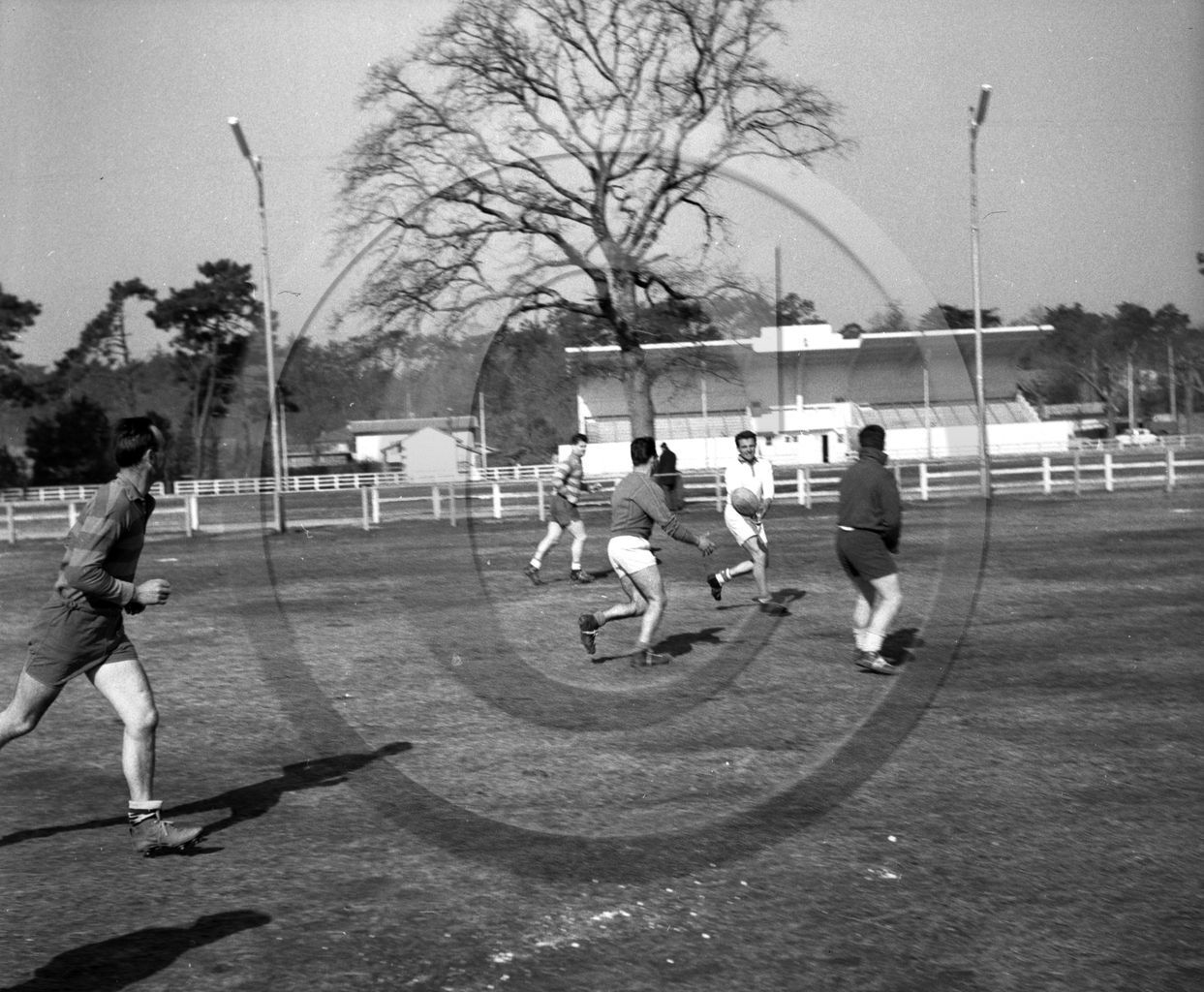 237 entrainement rugby 24 mars 63 - 7 -.jpg