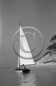 arc 4378 caneton 996 -Ghalbrand-.jpg