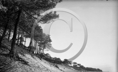 arc 4413 abatilles .jpg