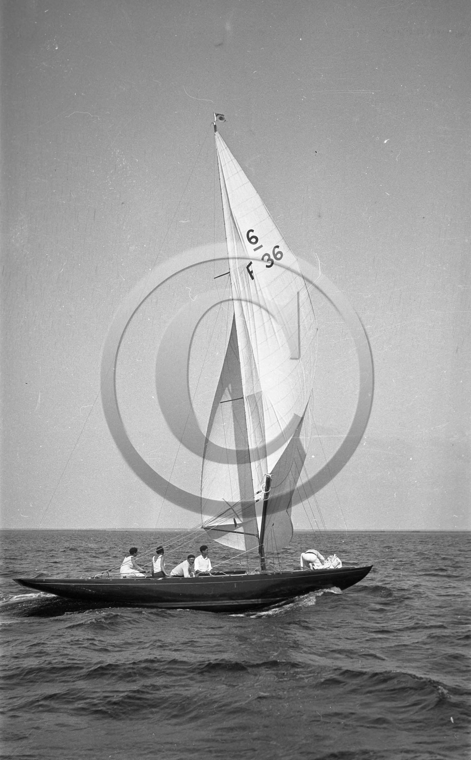 arc 1566 F 36 sitaris.jpg