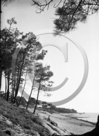 arc 4442 Abatilles .jpg