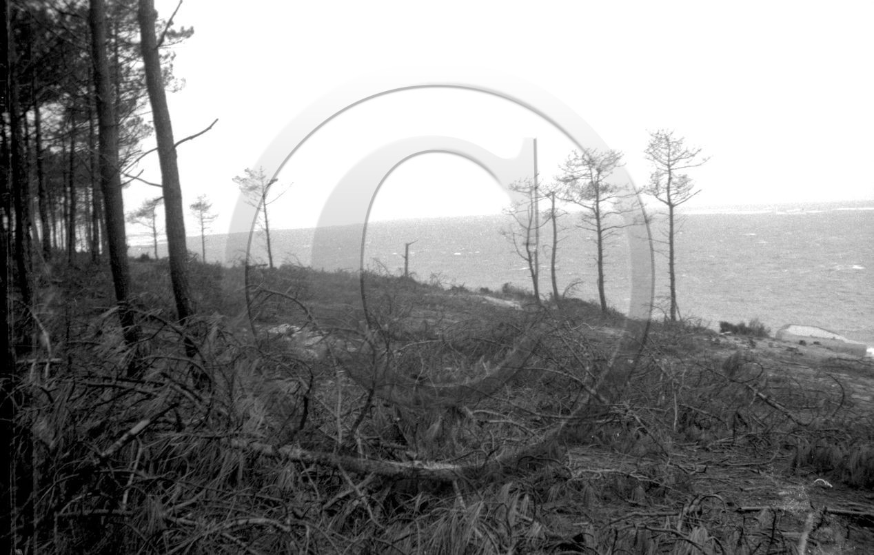 arc 4002   24x36    boite richard.jpg