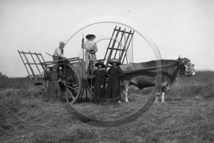 vi  1629 Loupiac les foins dpt 33.jpg