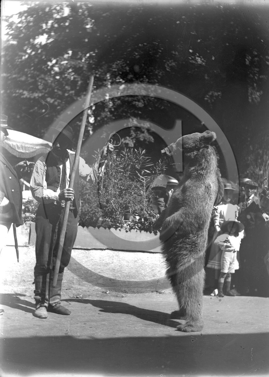 vi  90 ours  Bagneres de Luchon D 31 .jpg