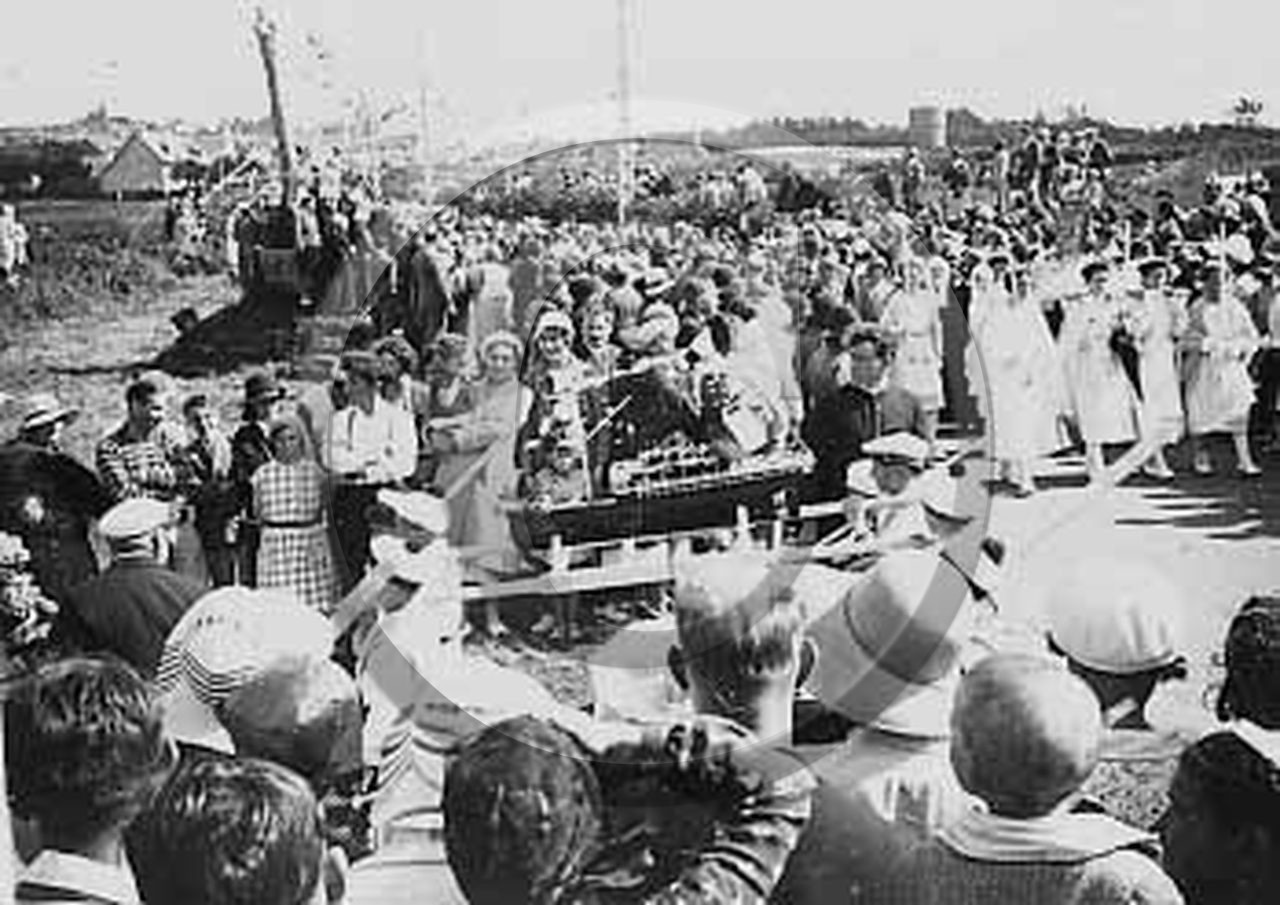 vi  286 ploumanach.jpg