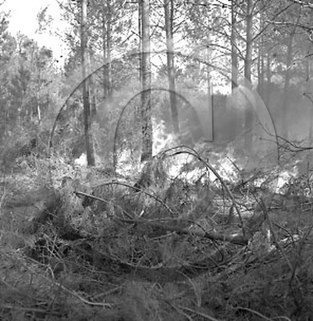 Pompiers du bassin d'Arcachon