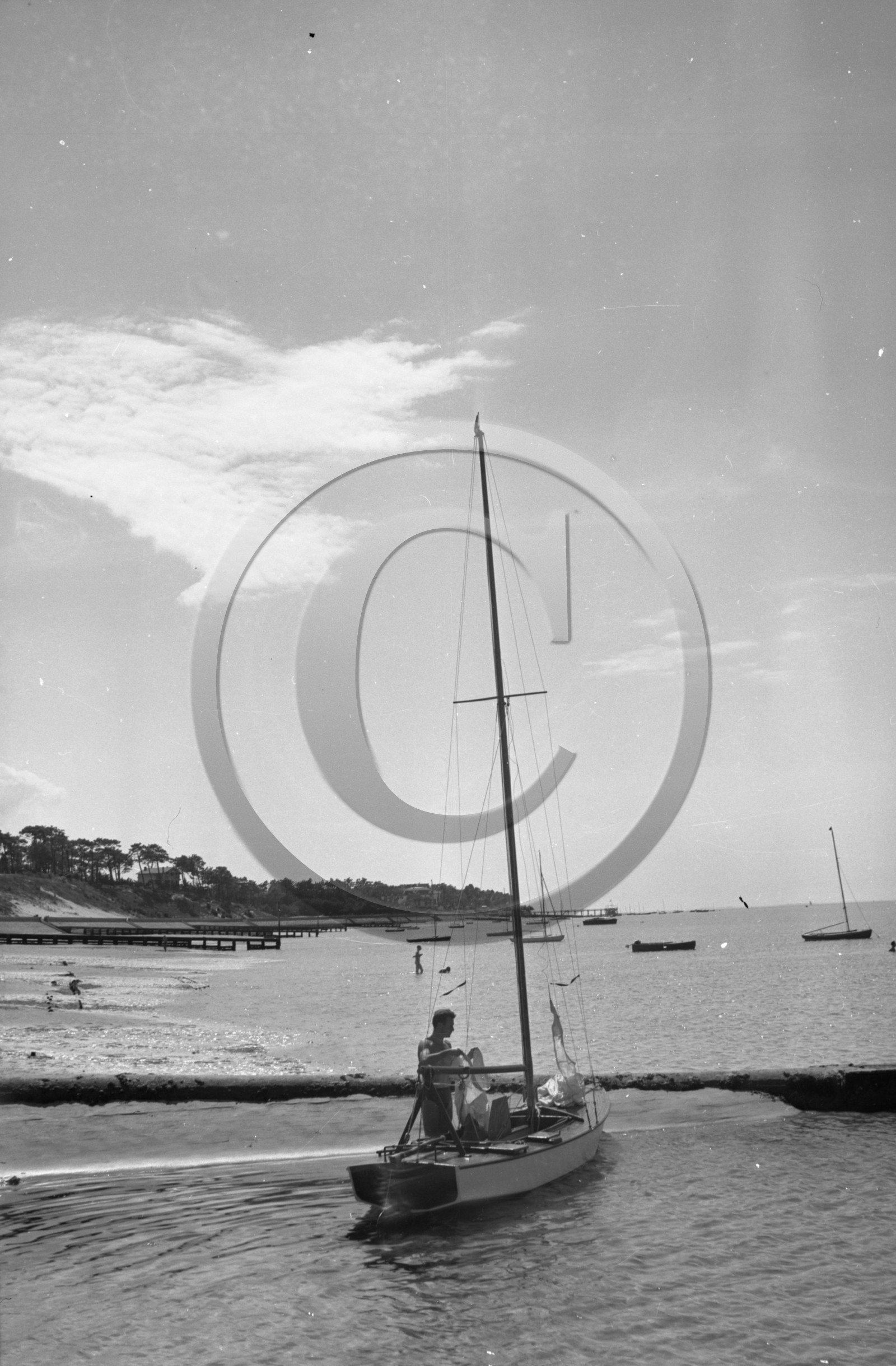 arc 4358 caneton 996 plage des Abatilles.jpg