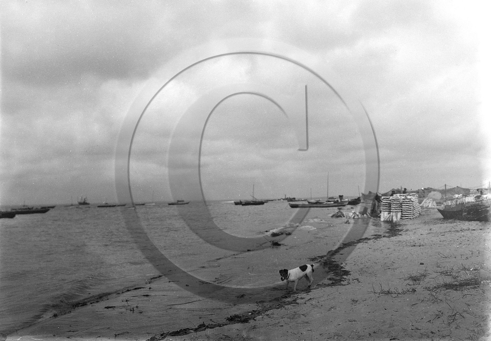 arc 3559 a3607 009.jpg