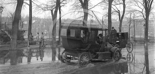 AU 3761 ancetre .jpg