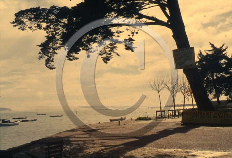 arc 4048 Cap Ferret restaurant las delicias  .jpg