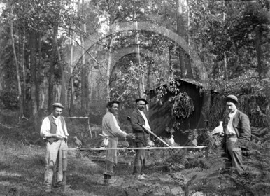 vi  531 chasse palombiere Grignols dpt 33 ex sl 212 .jpg