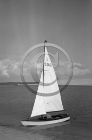 arc 4376 caneton 996.jpg