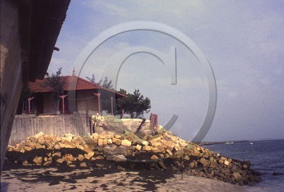 arc 4027  Hortense 1963 .jpg