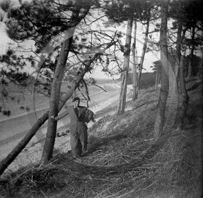 arc 4618 Les Abatilles .jpg