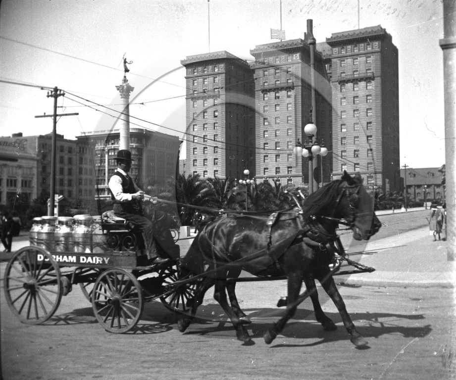 USA                     San Francisco  union square durham dairy  .jpg